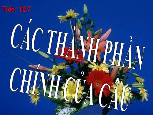 Bài 25. Các thành phần chính của câu