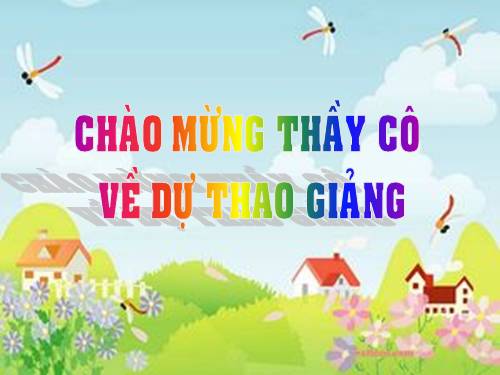 Bài 13. Chỉ từ