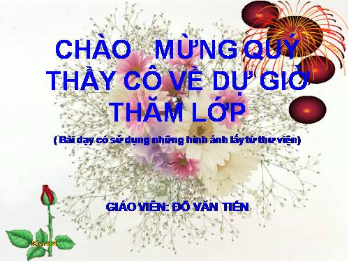 Bài 26. Cây tre Việt Nam