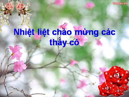 Bài 27. Câu trần thuật đơn có từ là