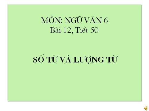 Bài 12. Số từ và lượng từ