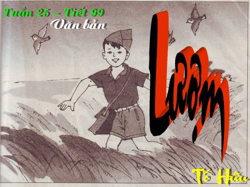 Bài 24. Lượm