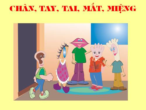 Bài 11. Chân, Tay, Tai, Mắt, Miệng