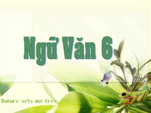 Bài 31. Ôn tập về dấu câu (Dấu chấm, dấu chấm hỏi, dấu chấm than)