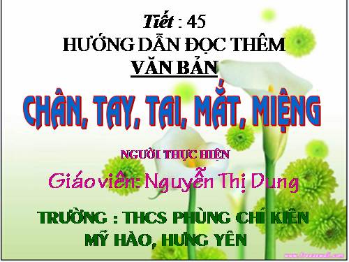 Bài 11. Chân, Tay, Tai, Mắt, Miệng