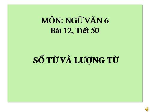 Bài 12. Số từ và lượng từ