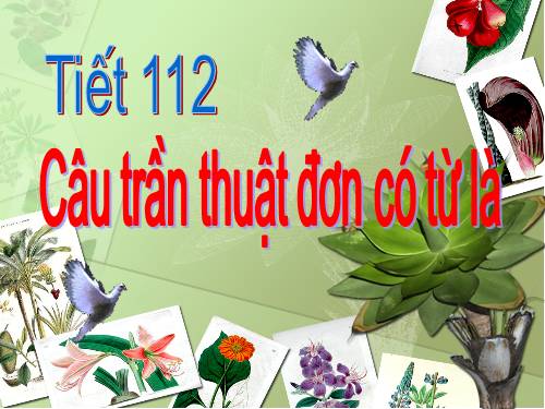 Bài 27. Câu trần thuật đơn có từ là