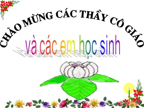 Bài 11. Cụm danh từ