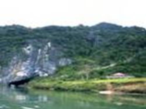 Động Phong Nha