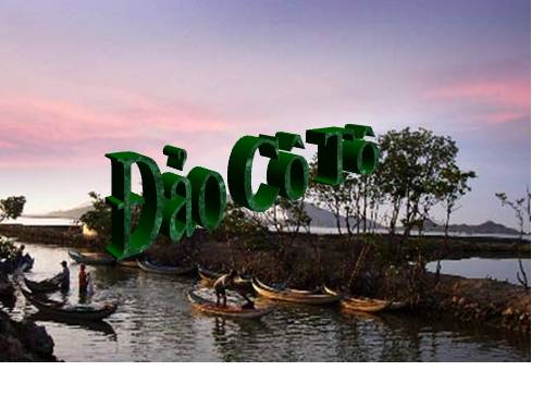 Bài 25. Cô Tô