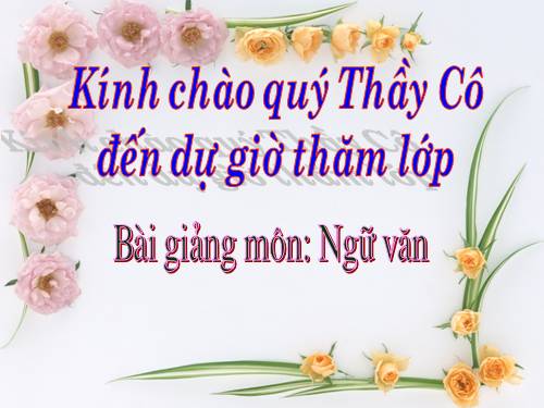 Bài 13. Chỉ từ
