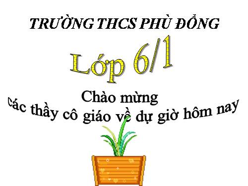 Bài 14. Động từ