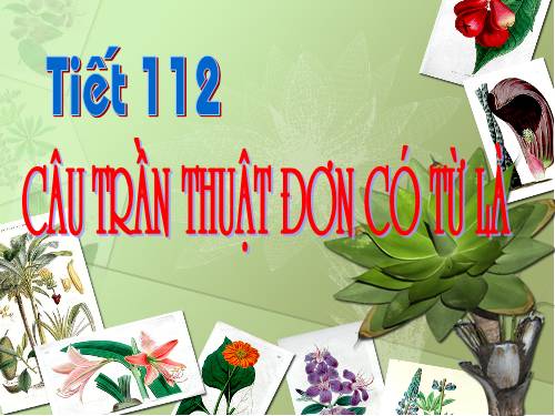 Bài 27. Câu trần thuật đơn có từ là