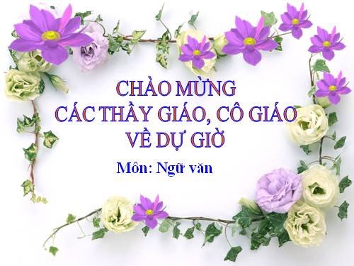 Bài 25. Cô Tô