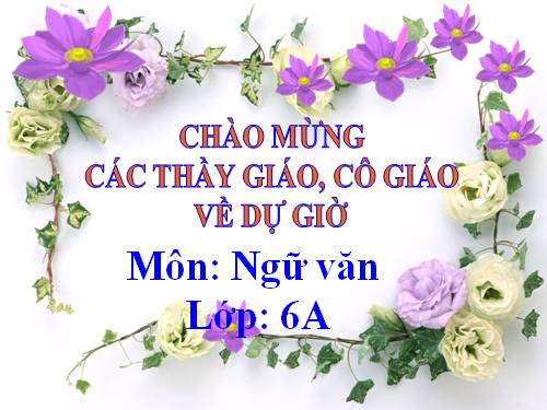 Bài 25. Cô Tô