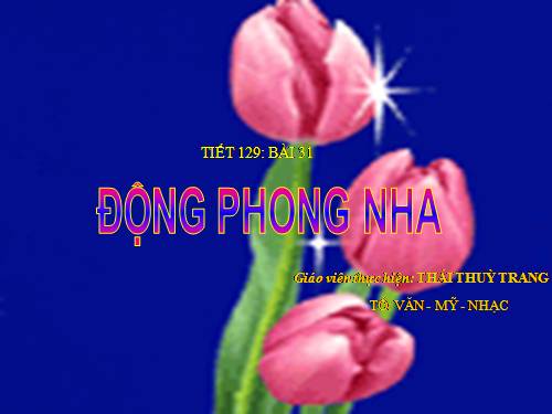 Bài 31. Động Phong Nha