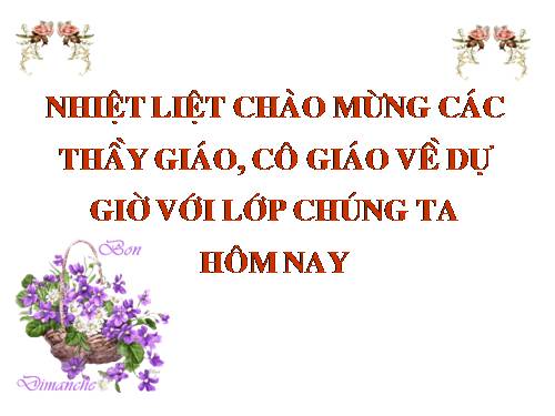 Bài 13. Chỉ từ