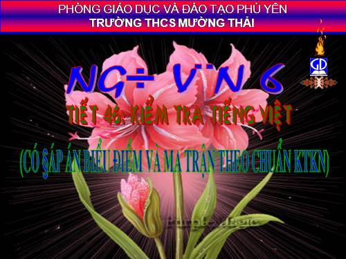 HD lập ma trận đề Kt văn 6 (Theo CKTKN)