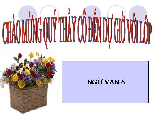 Bài 5. Từ nhiều nghĩa và hiện tượng chuyển nghĩa của từ