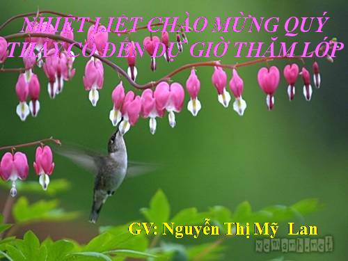 Bài 15. Mẹ hiền dạy con