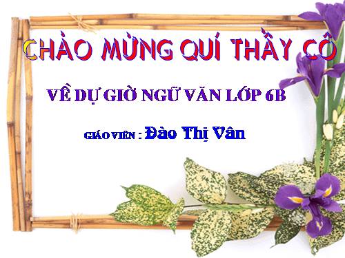 Bài 22. Buổi học cuối cùng