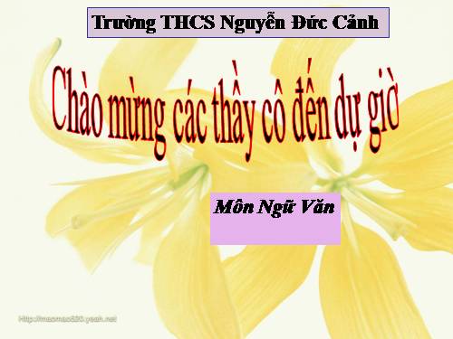 Bài 10. Ếch ngồi đáy giếng