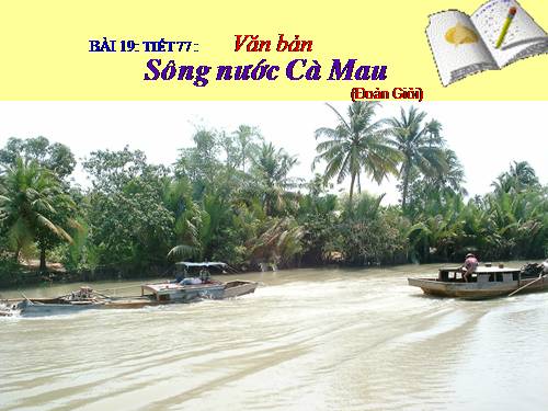 Bài 19. Sông nước Cà Mau