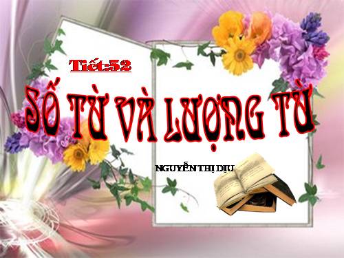 Bài 12. Số từ và lượng từ