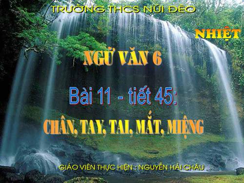 Bài 11. Chân, Tay, Tai, Mắt, Miệng