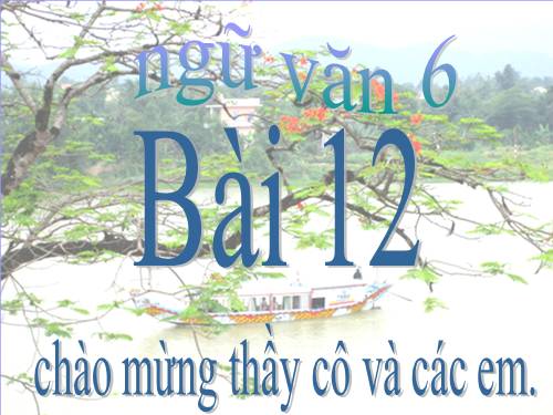 Bài 12. Số từ và lượng từ