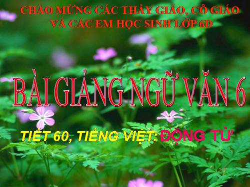 Bài 14. Động từ