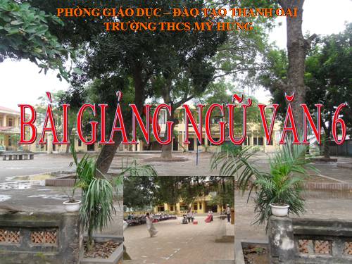 Bài 14. Động từ