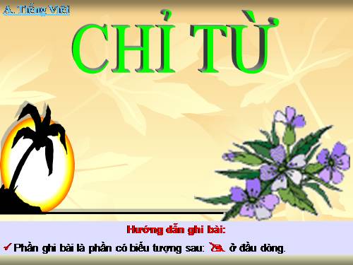 Bài 13. Chỉ từ