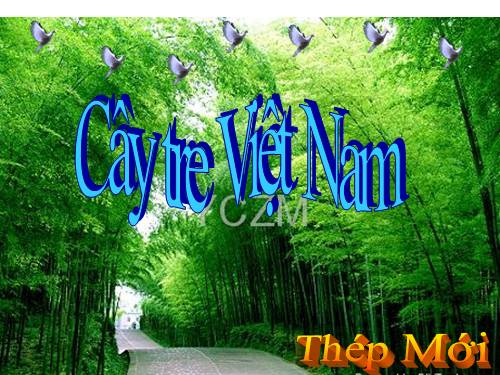 Bài 26. Cây tre Việt Nam