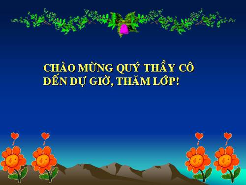 Bài 13. Chỉ từ