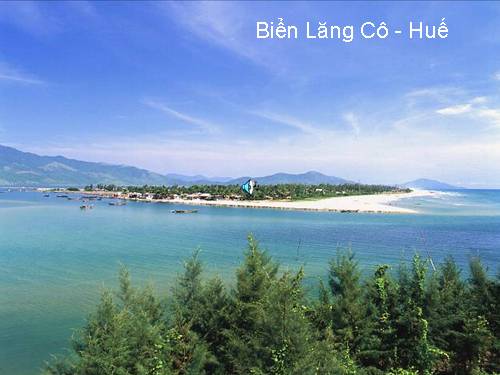 Bài 31. Động Phong Nha