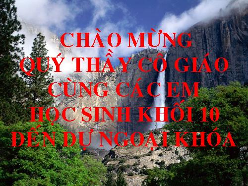 Ngoai khoa van