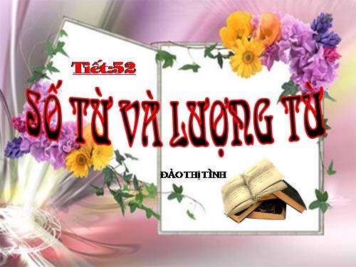 Bài 12. Số từ và lượng từ