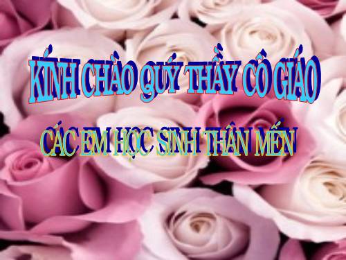 Bài 14. Động từ
