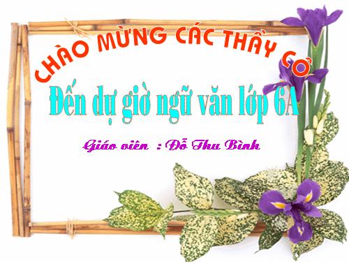 Bài 11. Cụm danh từ