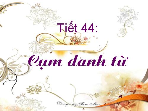 Bài 11. Cụm danh từ