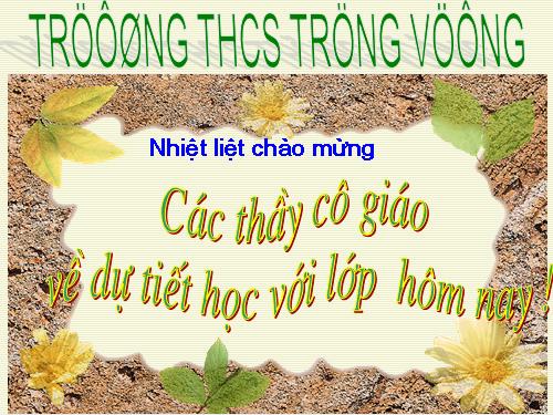 Bài 10. Thầy bói xem voi