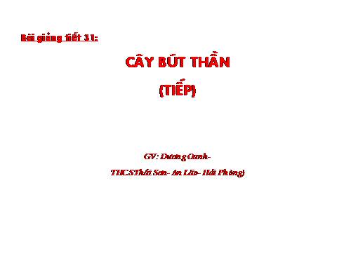 Bài 8. Cây bút thần