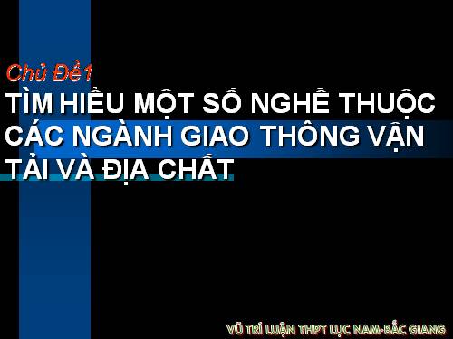 giải trí
