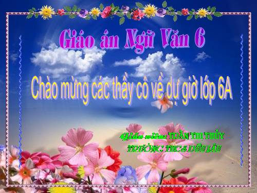 Bài 13. Chỉ từ