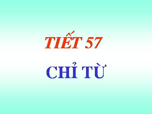 Bài 13. Chỉ từ