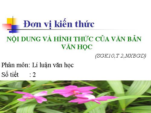 cay tre viet nam