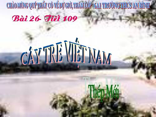 Bài 26. Cây tre Việt Nam