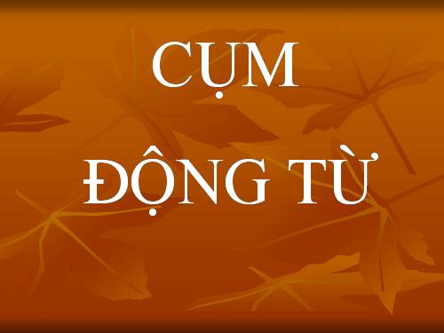 Bài 14. Cụm động từ