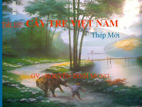 Bài 26. Cây tre Việt Nam